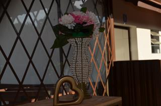 Plantas: imagem 3 de 15